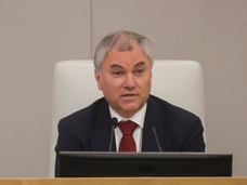 Володин возглавит российскую делегацию на парламентском форуме БРИКС в Индии