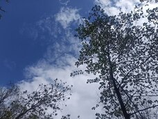 Пламя в общественном туалете на улице 1‑го Мая: пожар потушен без жертв